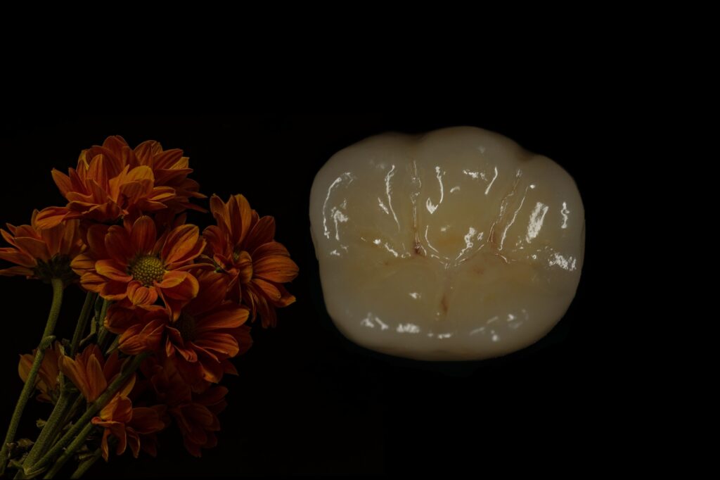 циркониевые протезы Cимпладент